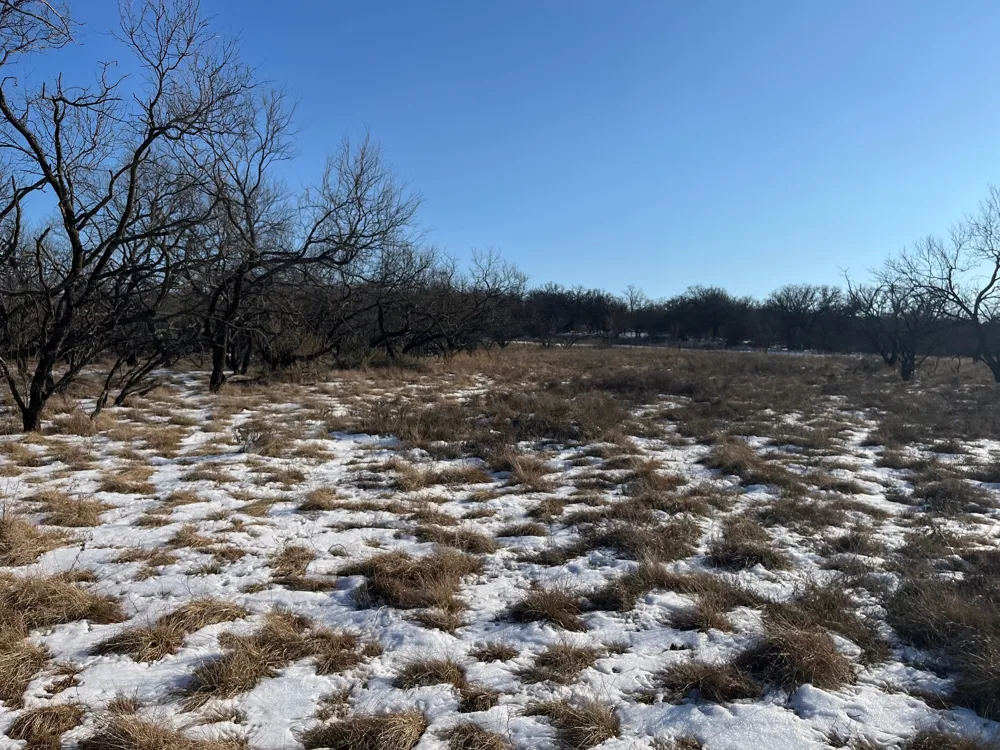 Burwick Road Jacksboro, TX 76458