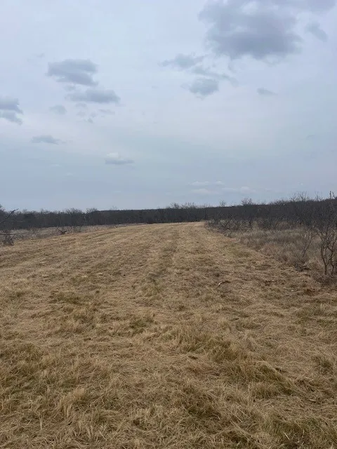 Burwick Road Jacksboro, TX 76458