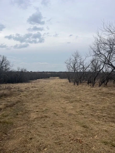 Burwick Road Jacksboro, TX 76458