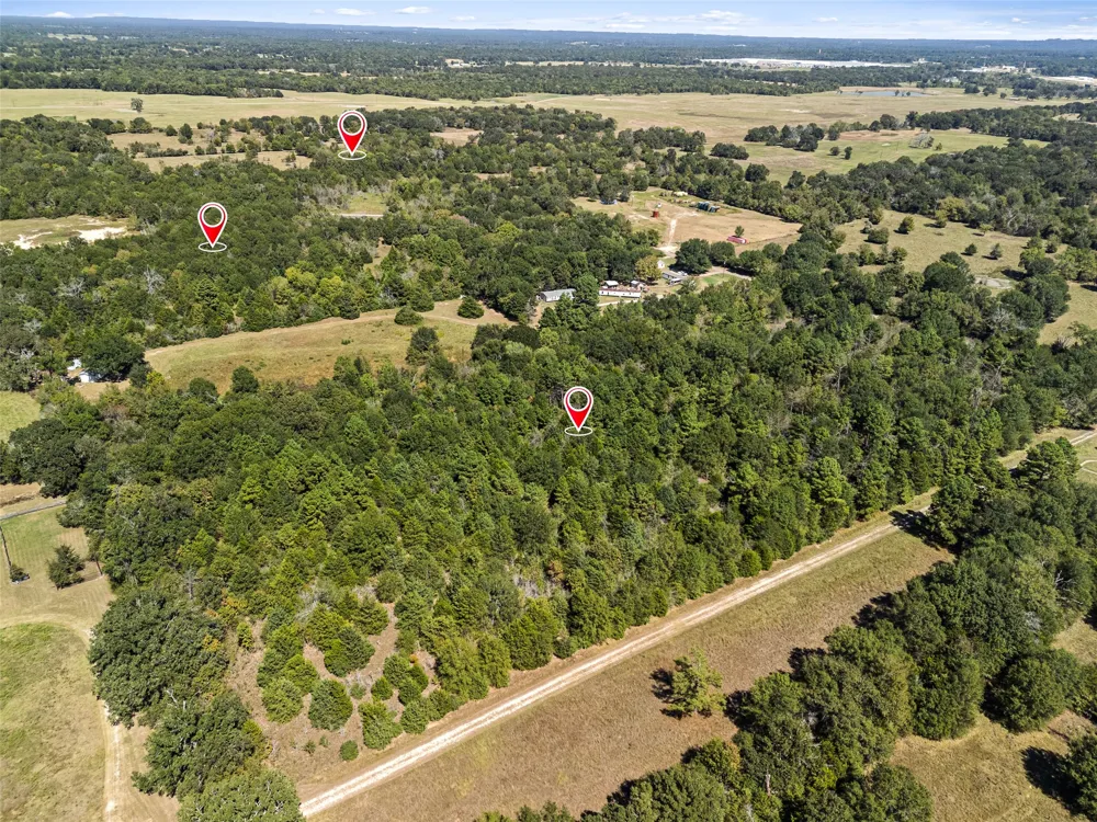 An County Road 2915 Palestine, TX 75803