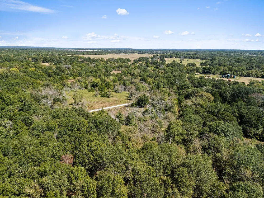 An County Road 2915 Palestine, TX 75803