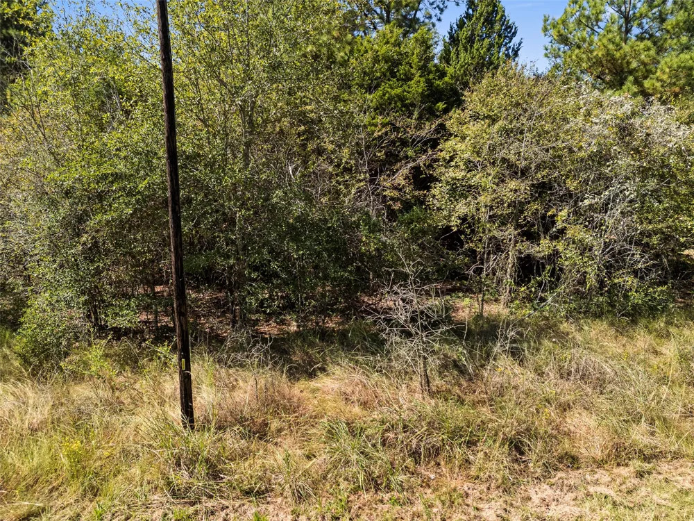 An County Road 2915 Palestine, TX 75803