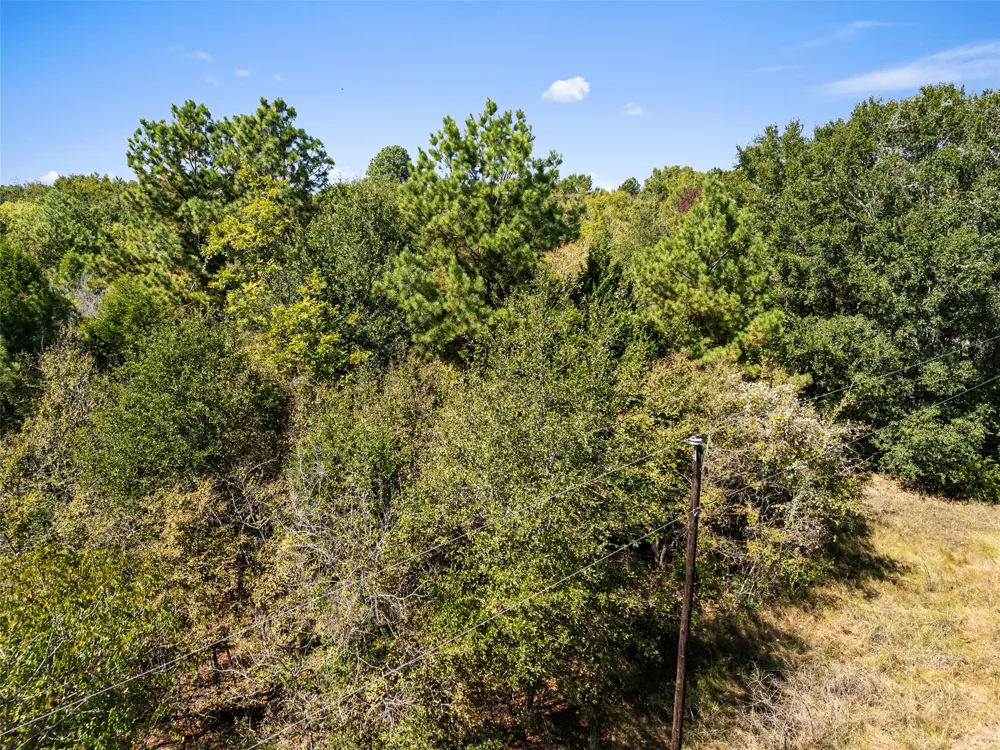An County Road 2915 Palestine, TX 75803