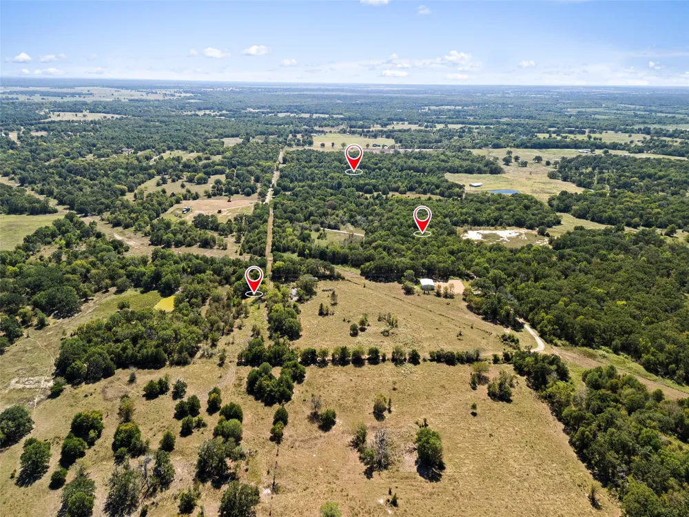 An County Road 2915 Palestine, TX 75803