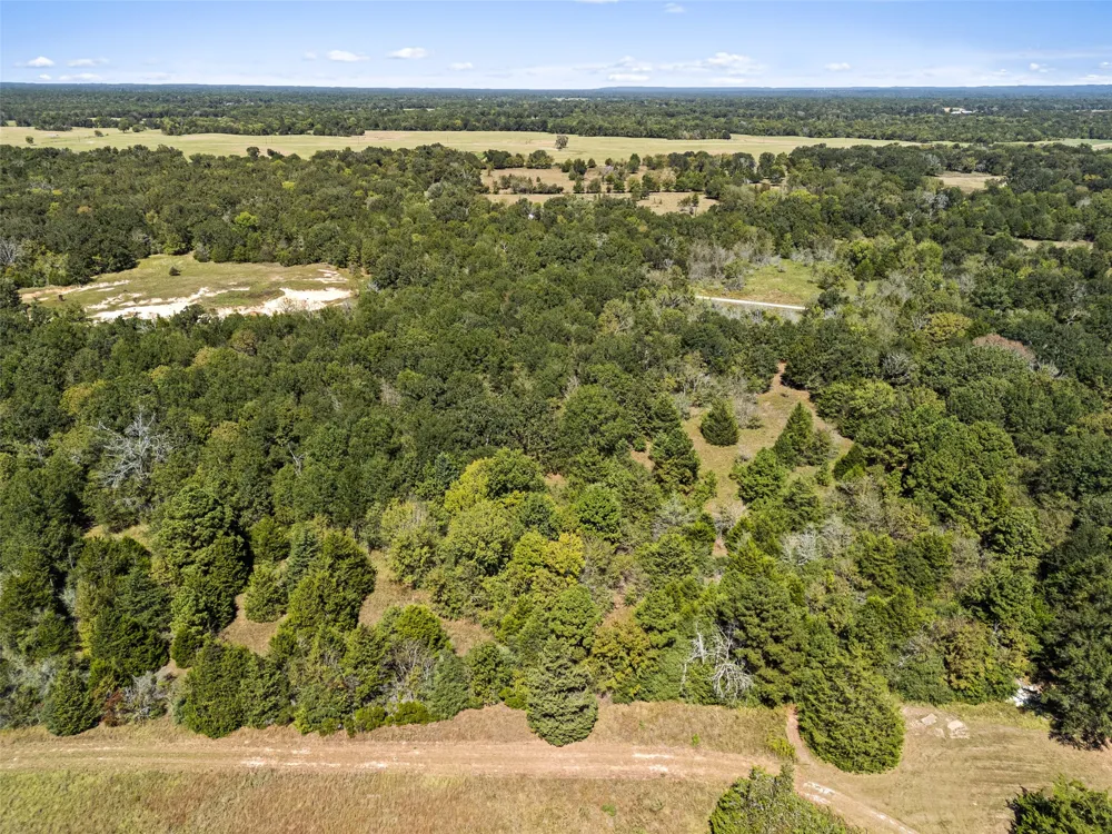 An County Road 2915 Palestine, TX 75803
