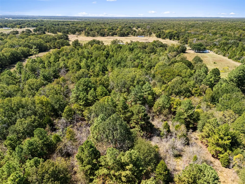 An County Road 2915 Palestine, TX 75803