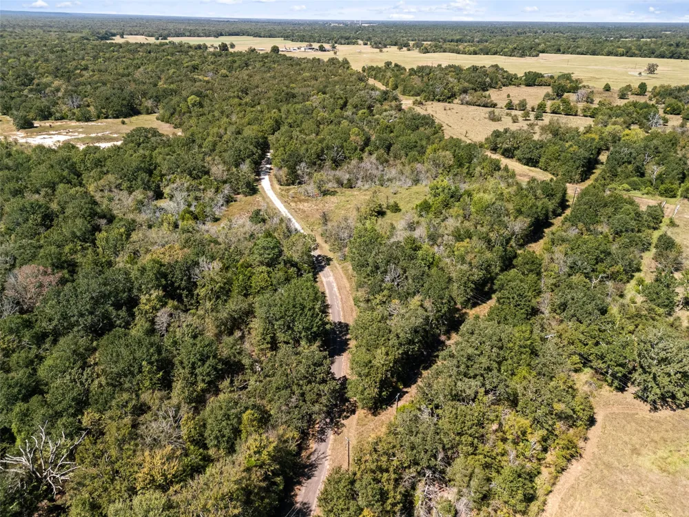 An County Road 2915 Palestine, TX 75803
