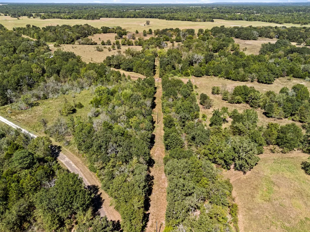 An County Road 2915 Palestine, TX 75803
