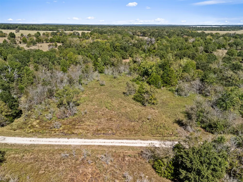 An County Road 2915 Palestine, TX 75803
