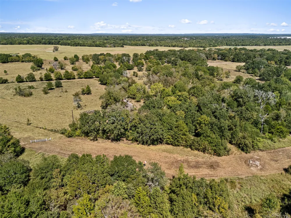 An County Road 2915 Palestine, TX 75803