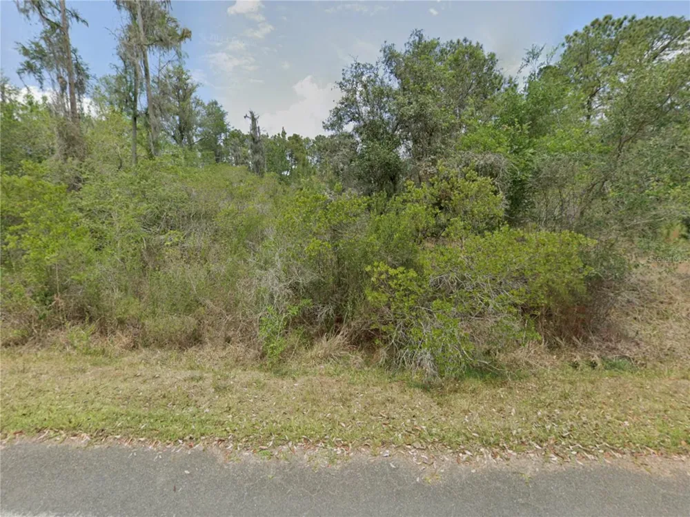 9474 BONSAI AVENUE Crystal River, FL 34428