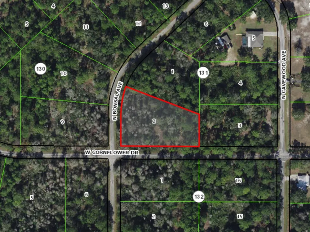9474 BONSAI AVENUE Crystal River, FL 34428