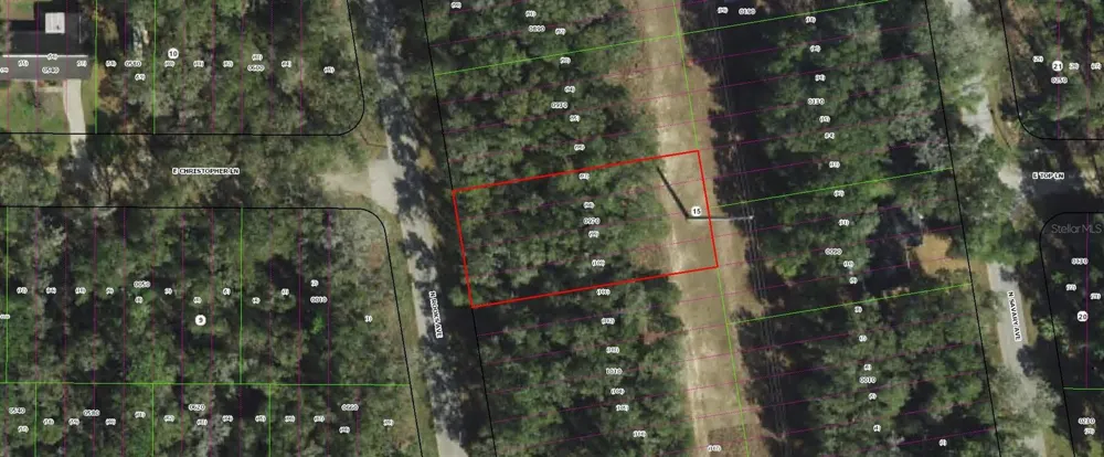 913 ROOKS AVENUE Inverness, FL 34453