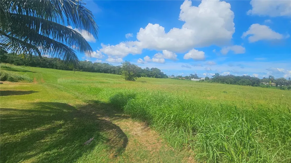 PR 2 KM. 120.6 Aguadilla, PR 00603