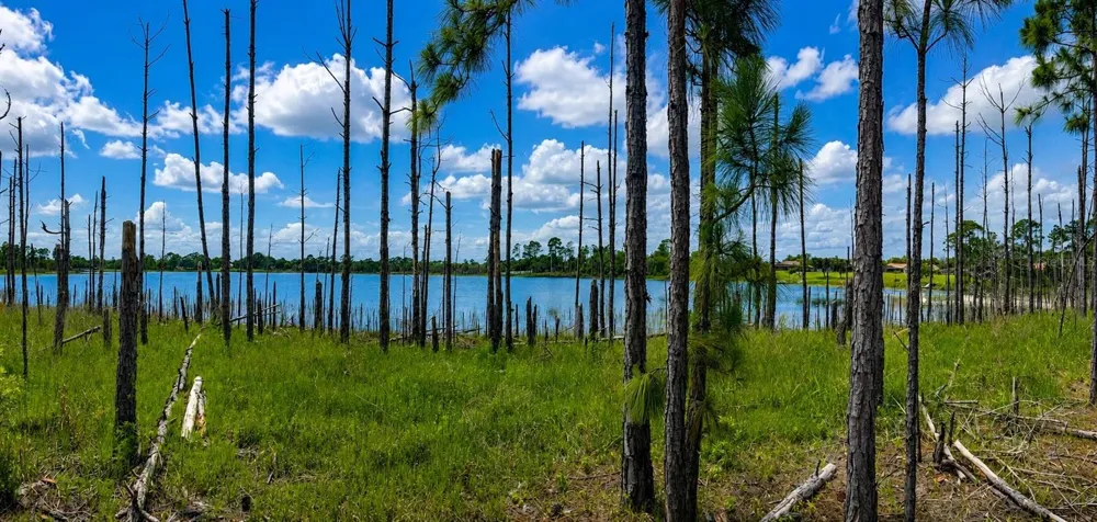 MELSHIRE AVENUE Deltona, FL 32738