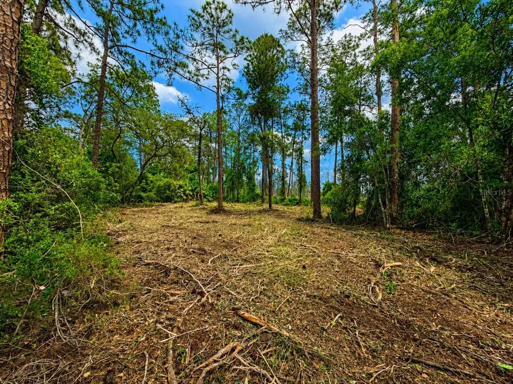 MELSHIRE AVENUE Deltona, FL 32738