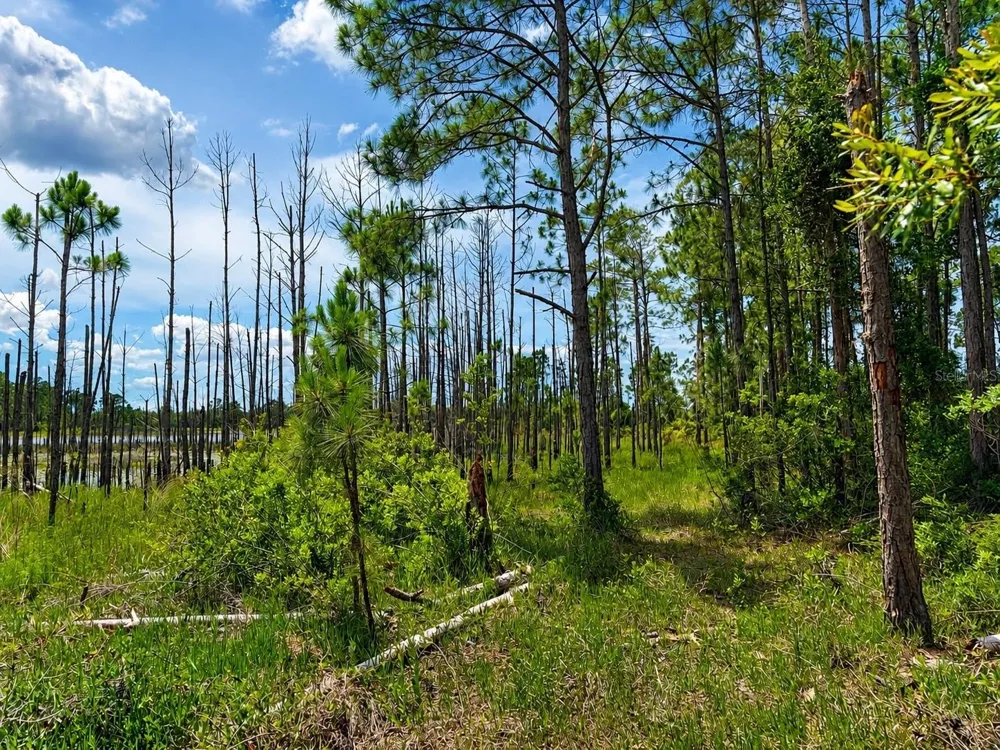 MELSHIRE AVENUE Deltona, FL 32738