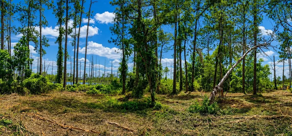MELSHIRE AVENUE Deltona, FL 32738