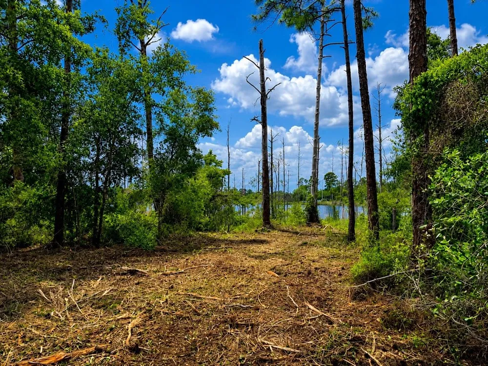 MELSHIRE AVENUE Deltona, FL 32738