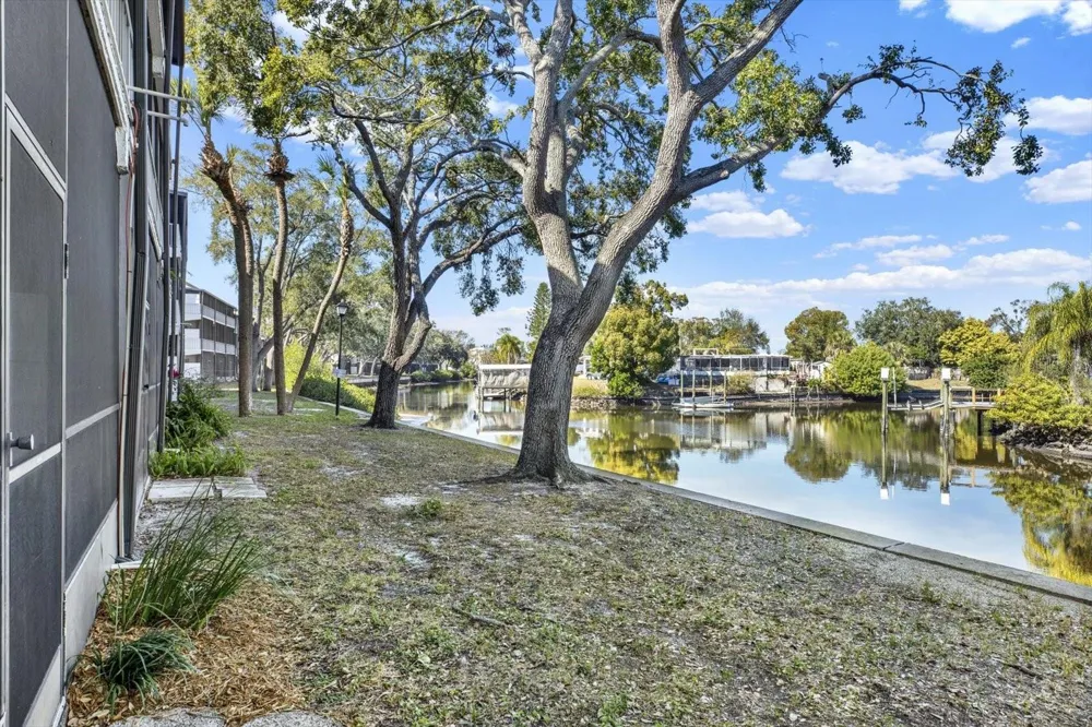 9125 TUDOR DRIVE #D109 Tampa, FL 33615