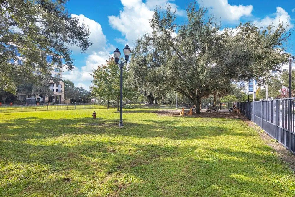 1008 E ROBINSON Orlando, FL 32801