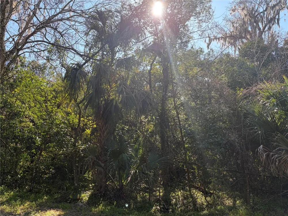 Lot 13 QUEBEC AVENUE De Leon Springs, FL 32130