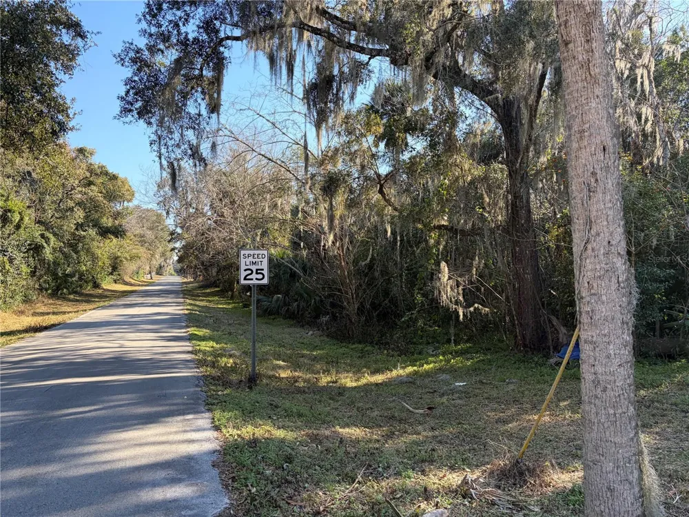 Lot 16 QUEBEC AVENUE De Leon Springs, FL 32130