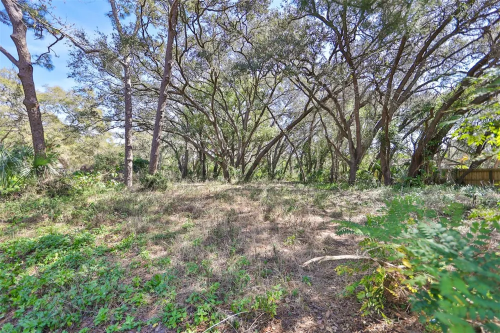 1971 WOLFORD ROAD Clearwater, FL 33760