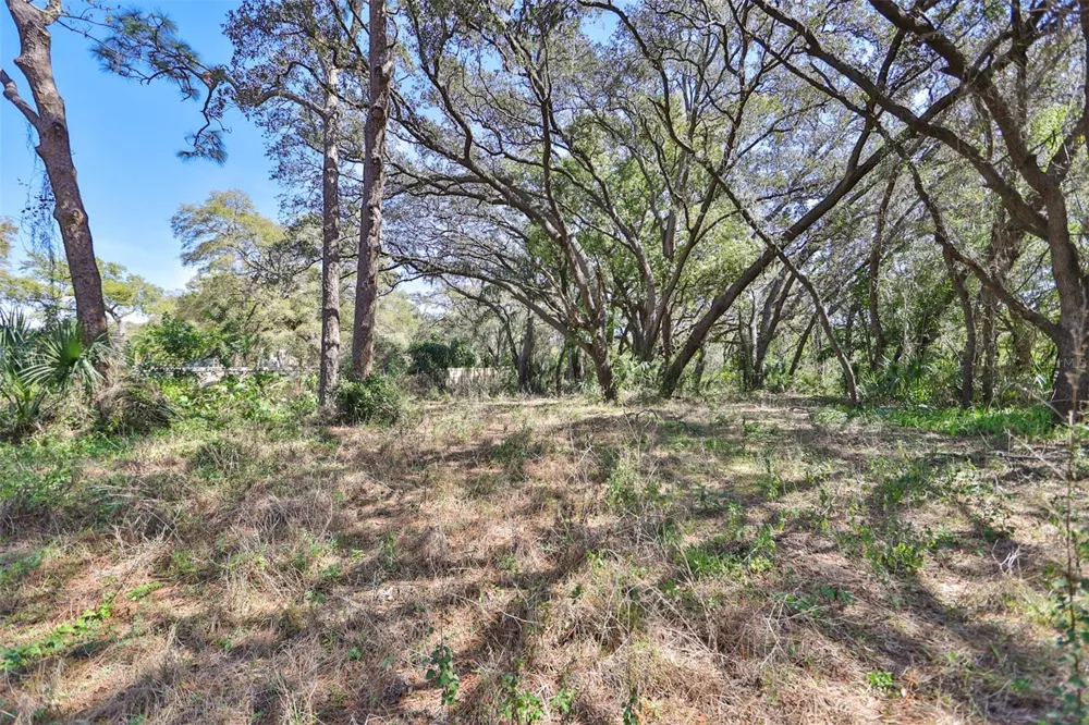 1971 WOLFORD ROAD Clearwater, FL 33760