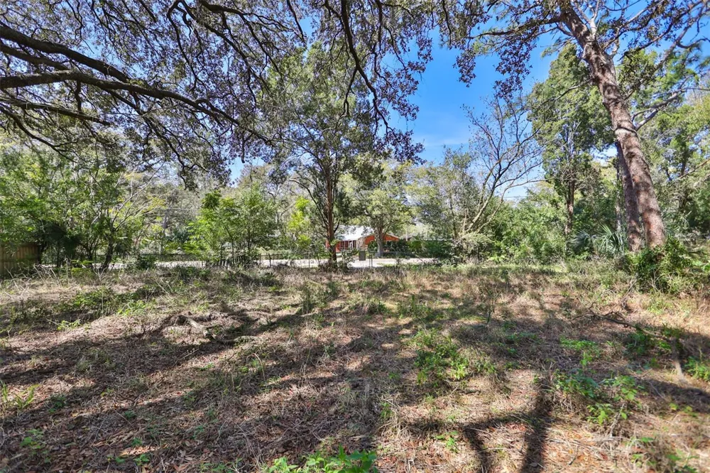 1971 WOLFORD ROAD Clearwater, FL 33760