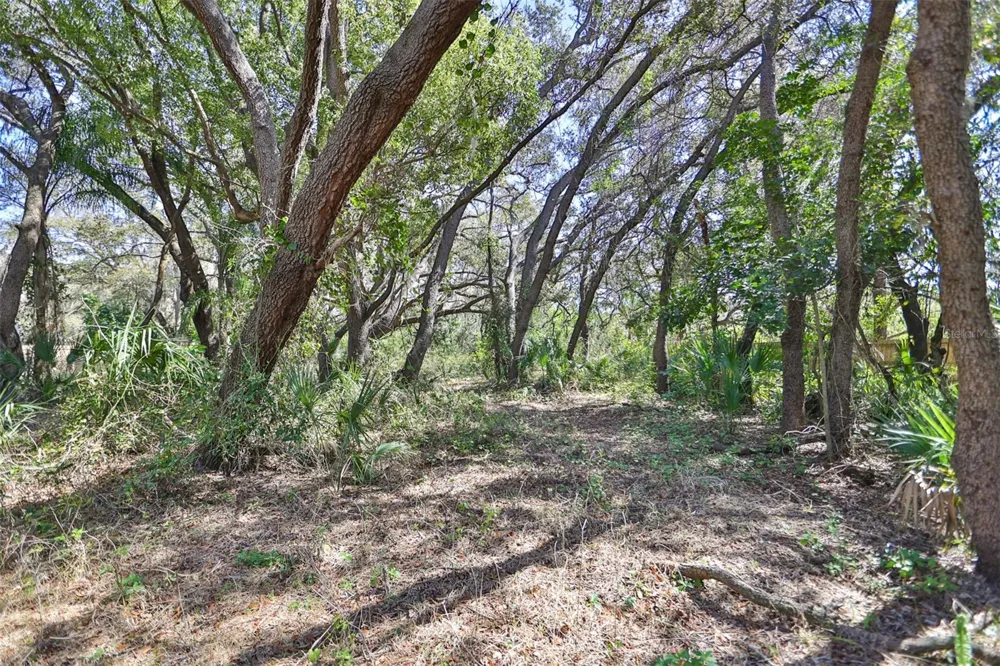 1971 WOLFORD ROAD Clearwater, FL 33760