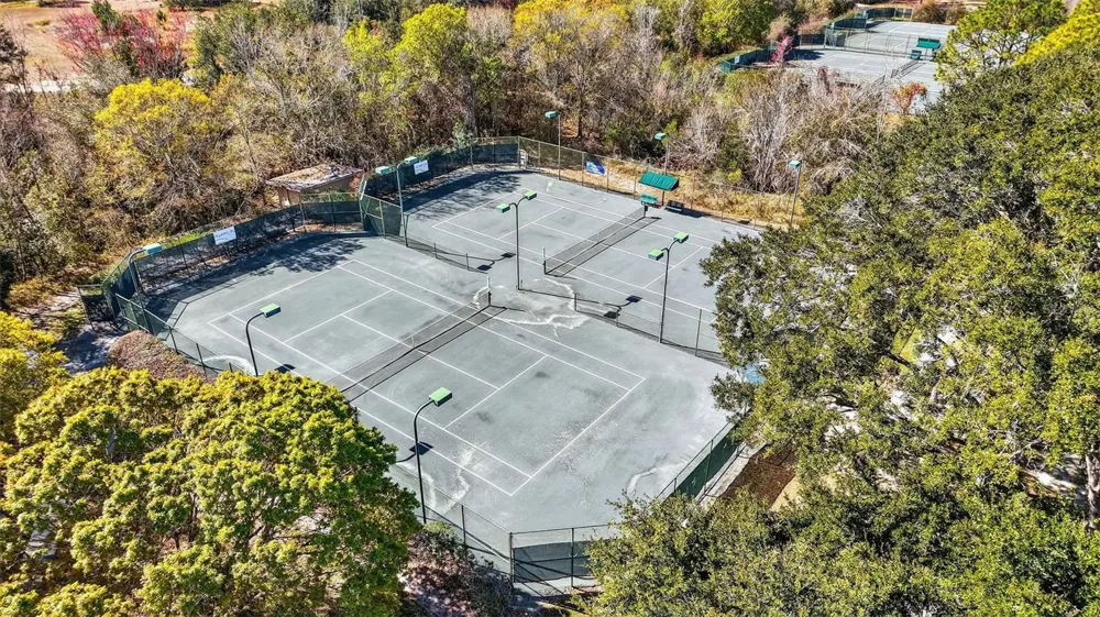 9930 SANTA BARBARA COURT Howey In The Hills, FL 34737