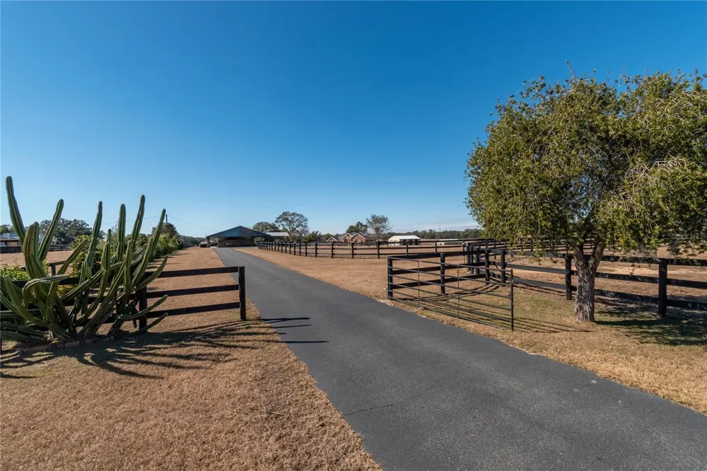 12610 NW GAINESVILLE ROAD Reddick, FL 32686