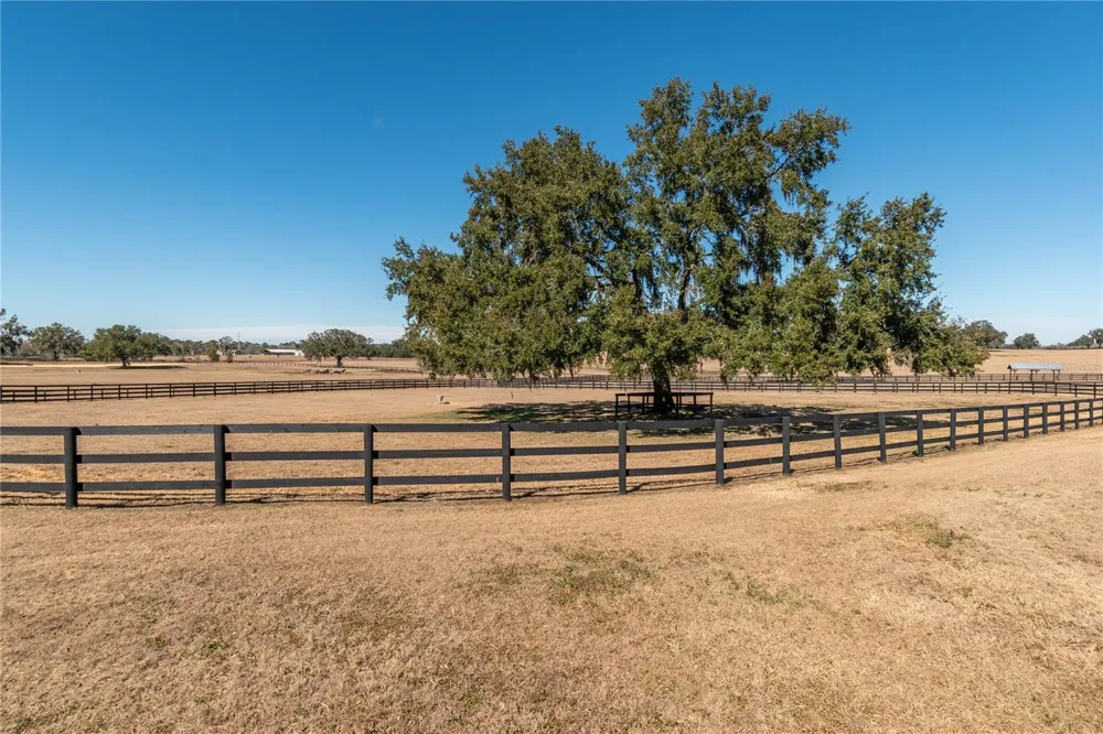 12610 NW GAINESVILLE ROAD Reddick, FL 32686
