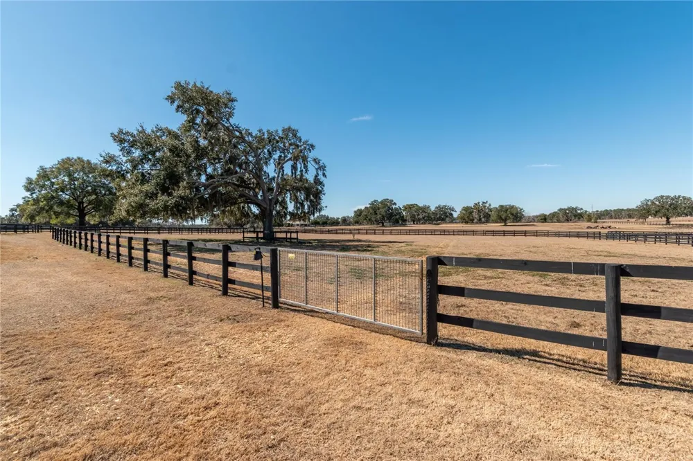 12610 NW GAINESVILLE ROAD Reddick, FL 32686