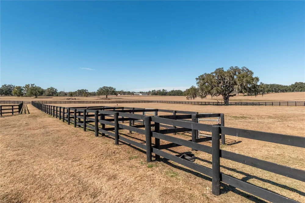 12610 NW GAINESVILLE ROAD Reddick, FL 32686