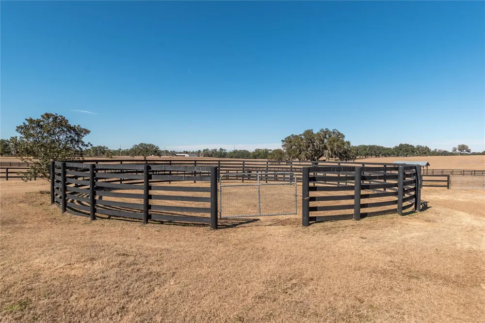 12610 NW GAINESVILLE ROAD Reddick, FL 32686