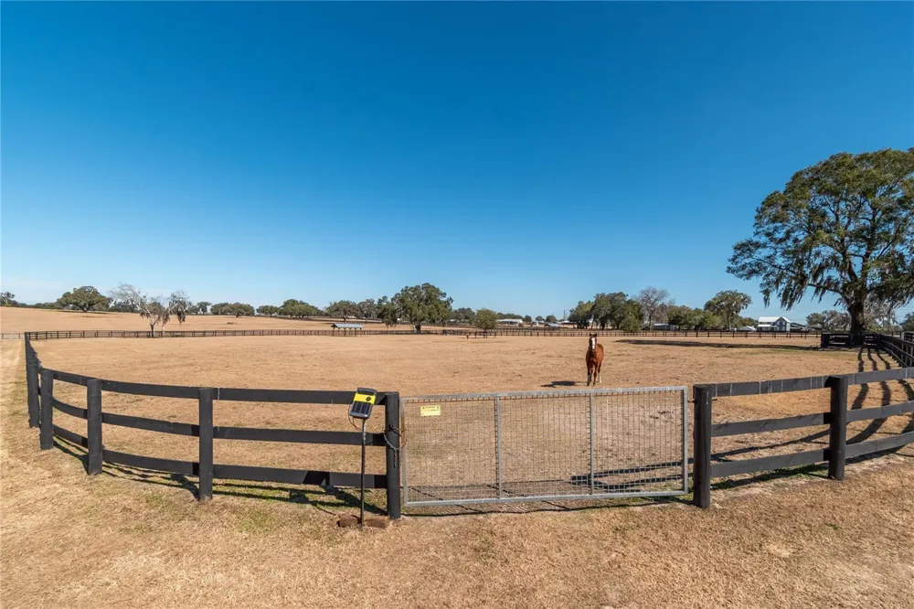 12610 NW GAINESVILLE ROAD Reddick, FL 32686