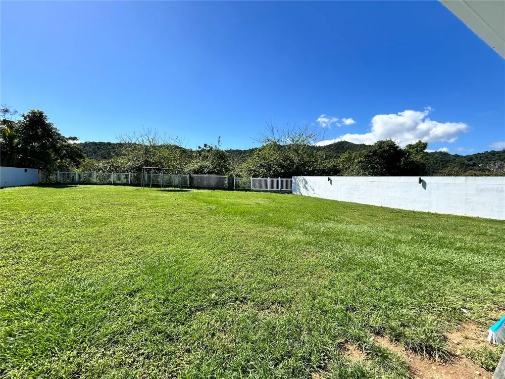 345 CALLE TULIPAN Caguas, PR 00725
