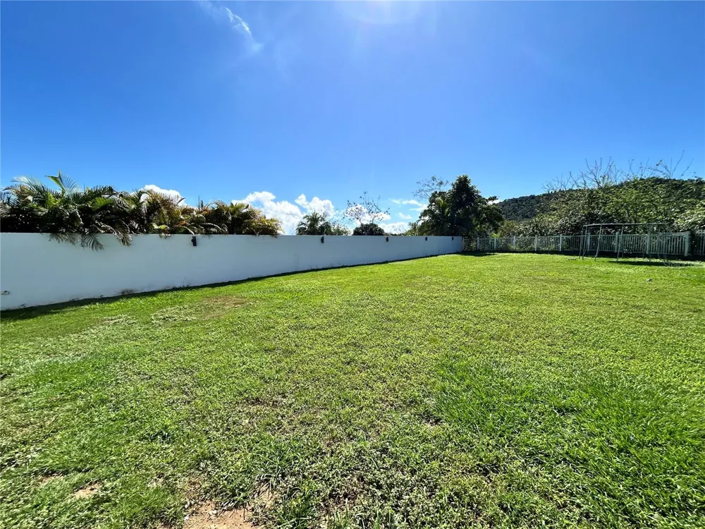 345 CALLE TULIPAN Caguas, PR 00725