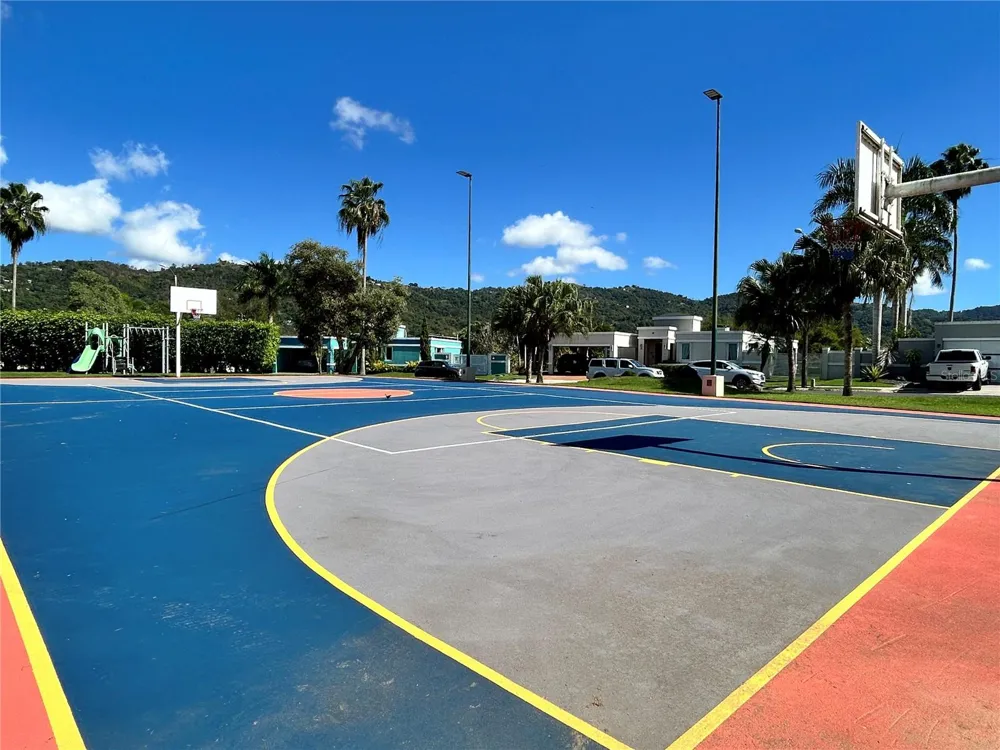 345 CALLE TULIPAN Caguas, PR 00725