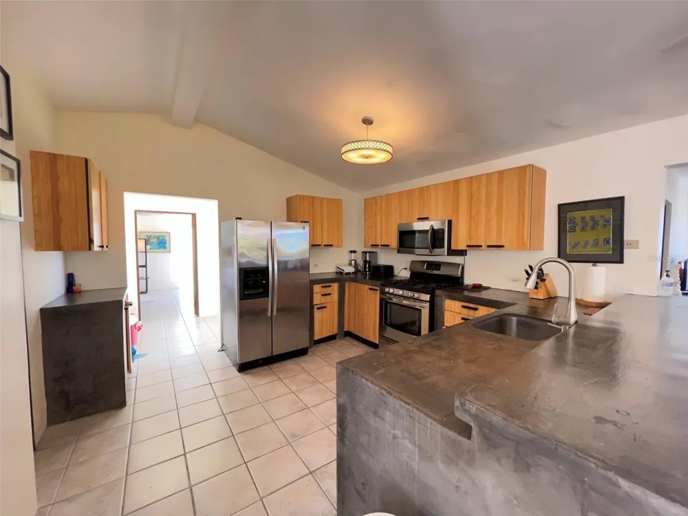 327 BRAVOS Vieques, PR 00765