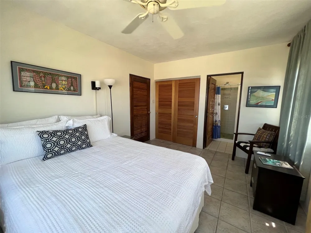 327 BRAVOS Vieques, PR 00765