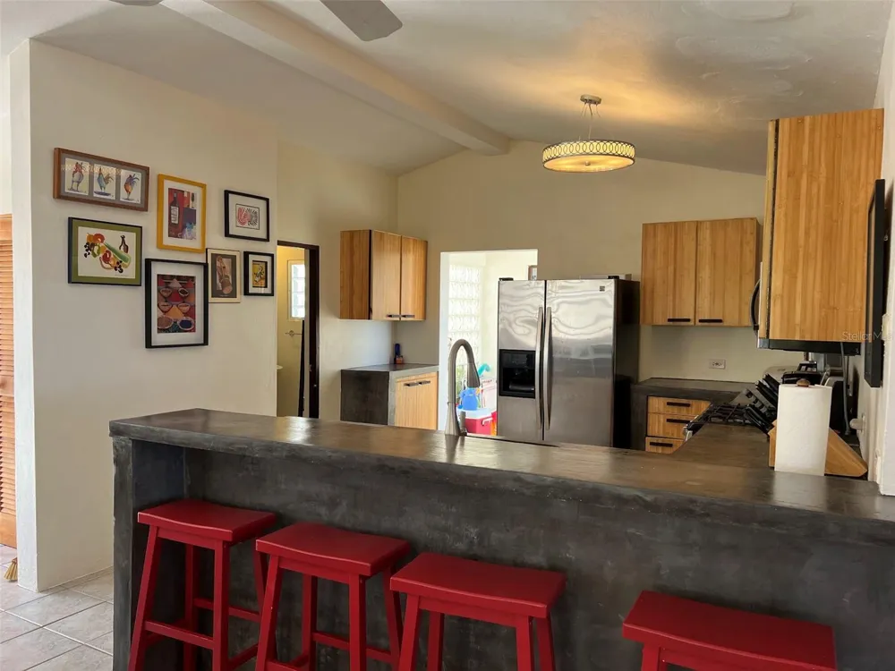327 BRAVOS Vieques, PR 00765