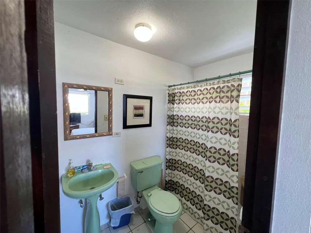 327 BRAVOS Vieques, PR 00765