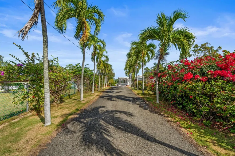 KM 1.1 466 Isabela, PR 00662