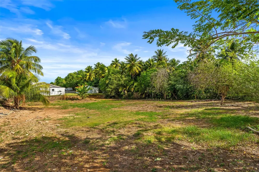KM 1.1 466 Isabela, PR 00662