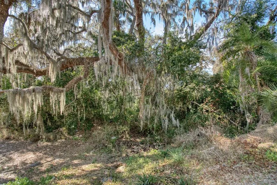 3RD ST Montverde, FL 34756