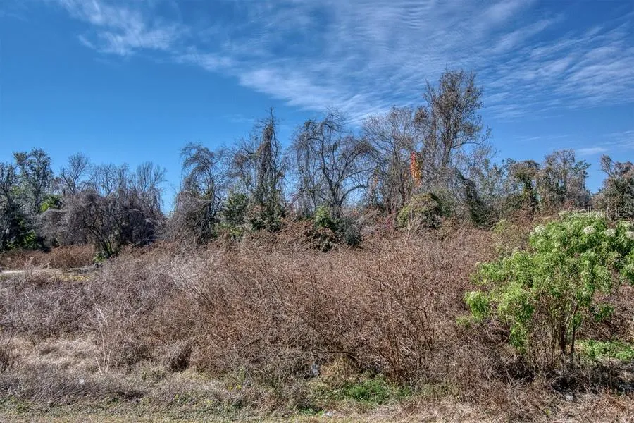 3RD ST Montverde, FL 34756