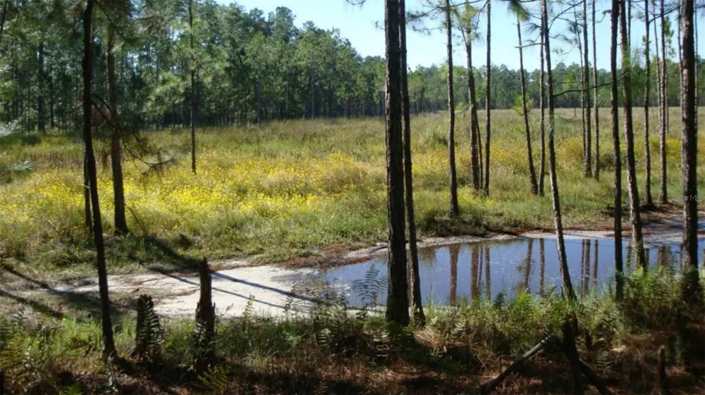 HWY 630 E Frostproof, FL 33843